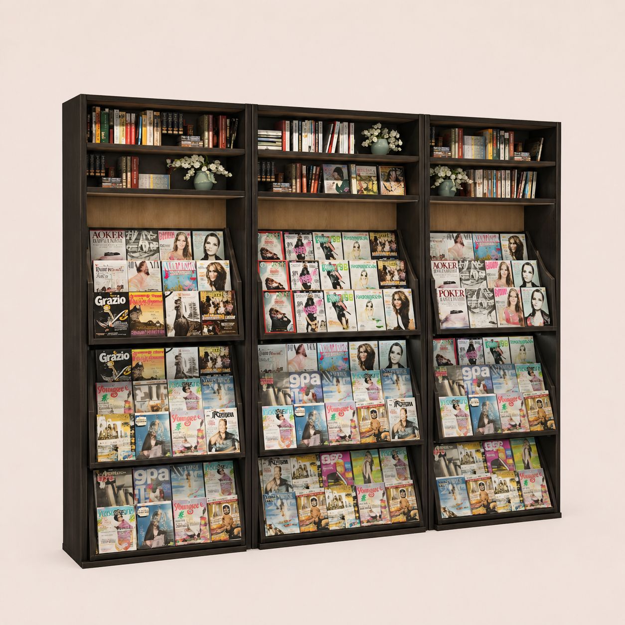 Slanted Tiered Periodical & Magazine Display Rack